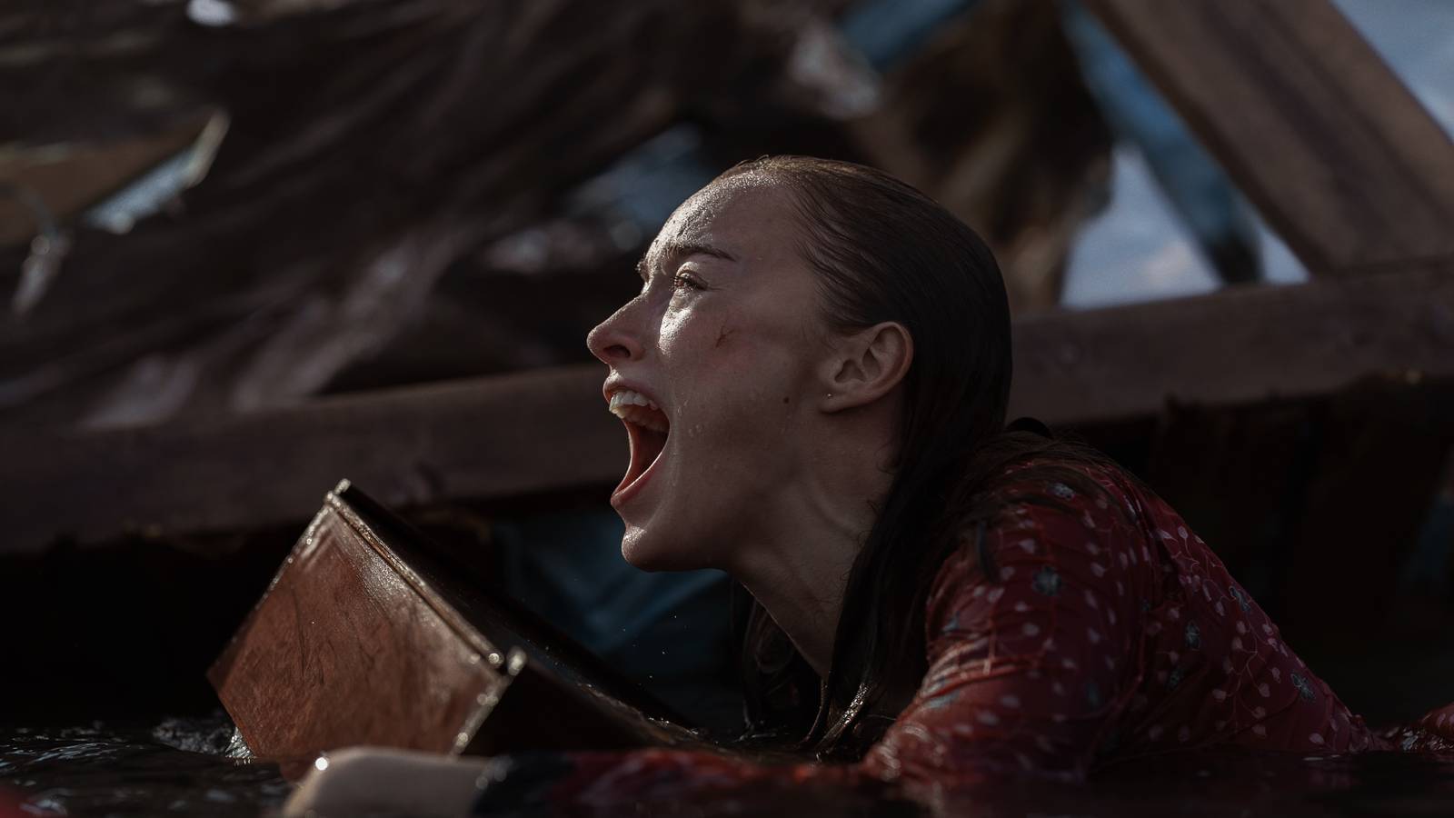 Netflix’s new shark thriller Thrash is more fun than scary Netflix’s new shark thriller Thrash is more fun than scary