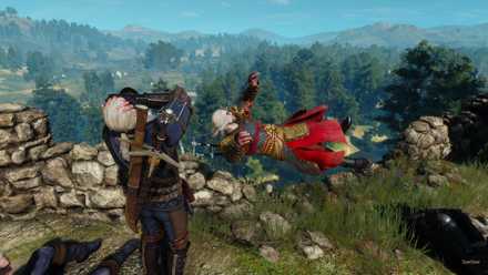 Two Geralts engage in antics in a screenshot from The Witcher 3 with Witcher Online mod installed