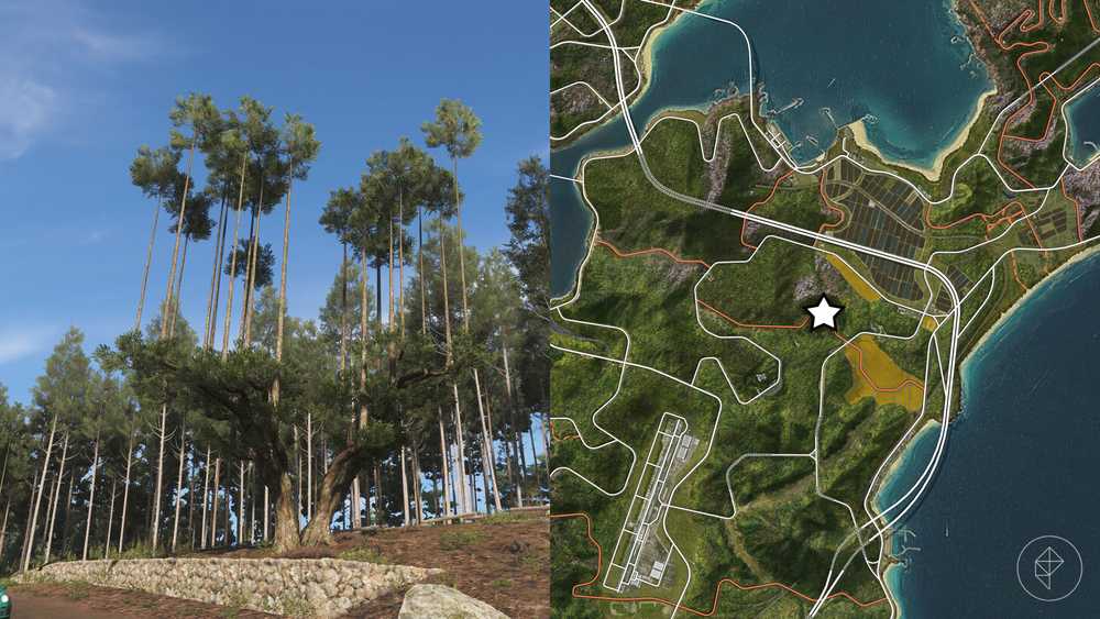 Kitayama Big Daisugi em Forza Horizon 6