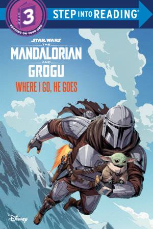 A book cover depicting the Mandalorian and Grogu flying across the sky