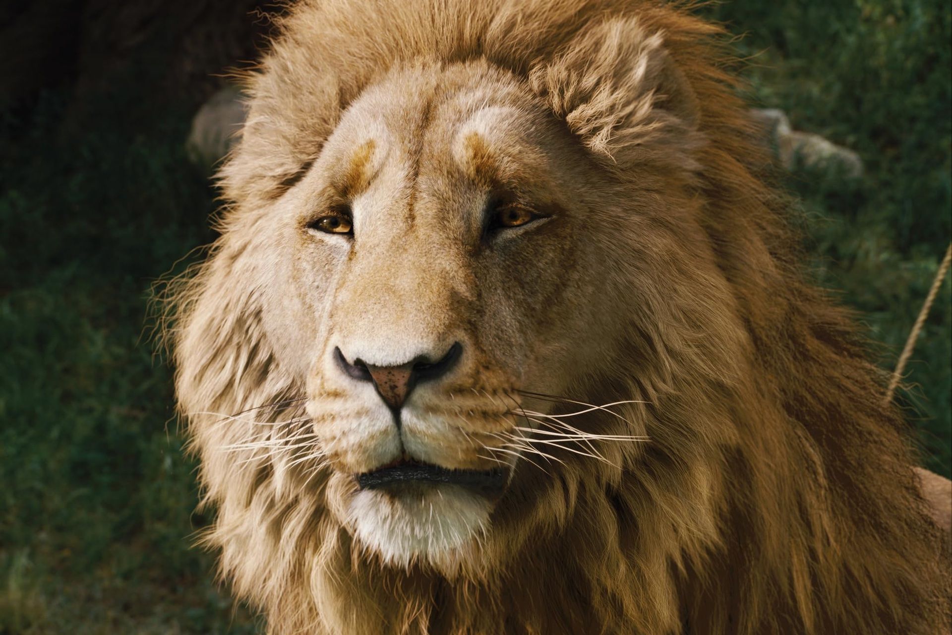 Netflix's Narnia: The Magician's Nephew delayed to 2027