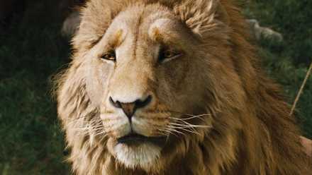 Aslan the lion from The Chronicles of Narnia: The Lion, the Witch and the Wardrobe