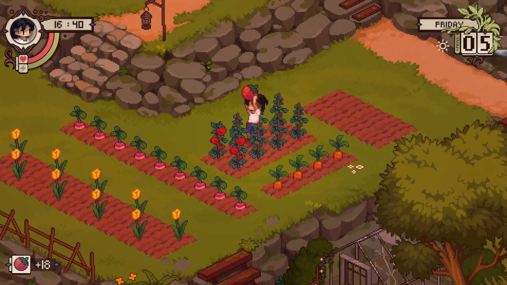 The protagonist of Grave Seasons harvesting tomatoes 