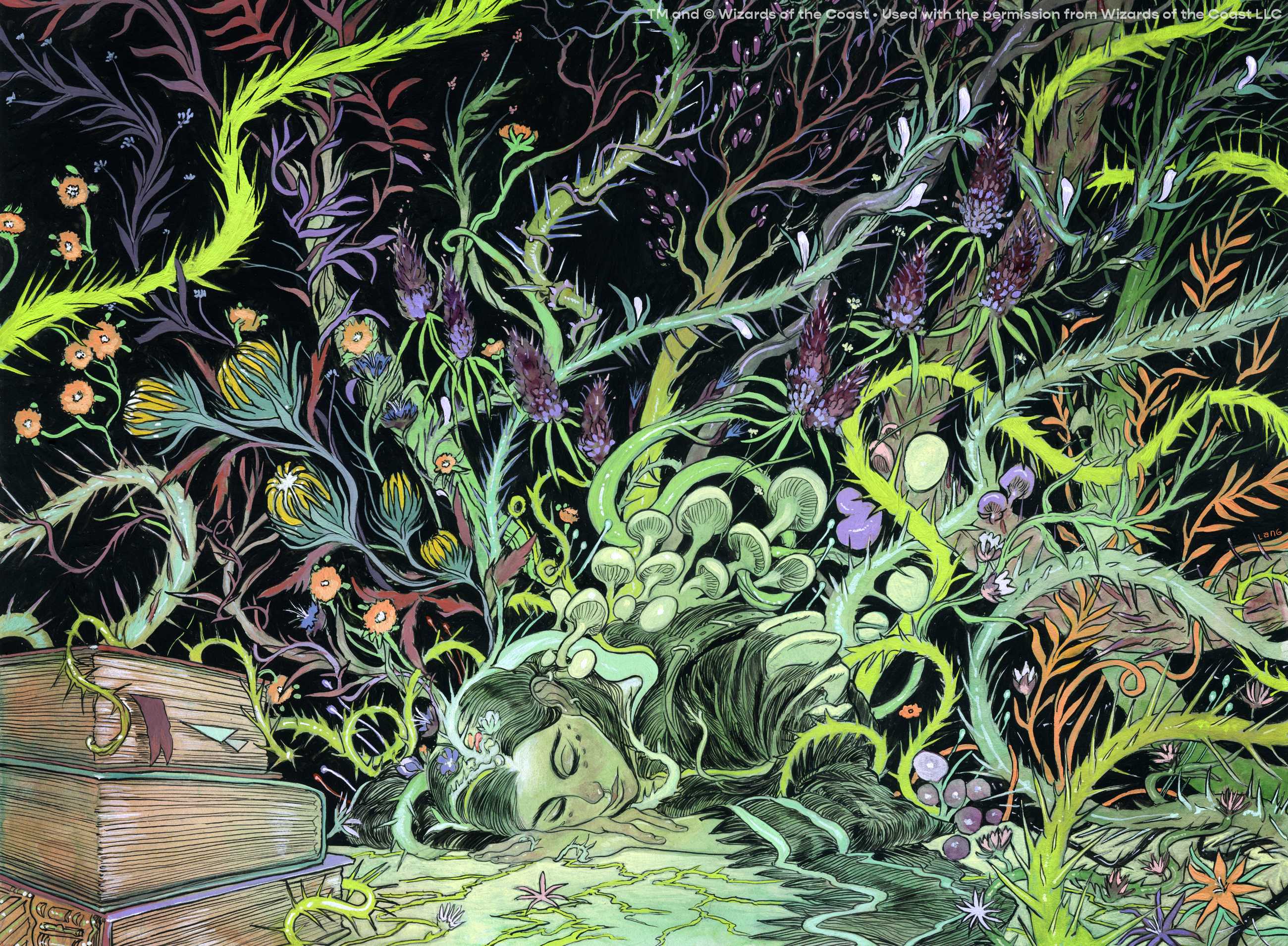 elliot lang Mind Roots mtg