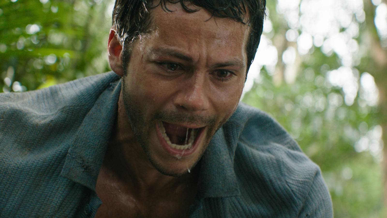 Send Help Stream Send Help is the best survival thriller of the century, and it's ...