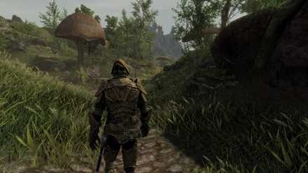 A player walks through a field in Skywind, the Morrowind mod for The Elder Scrolls V: Skryim
