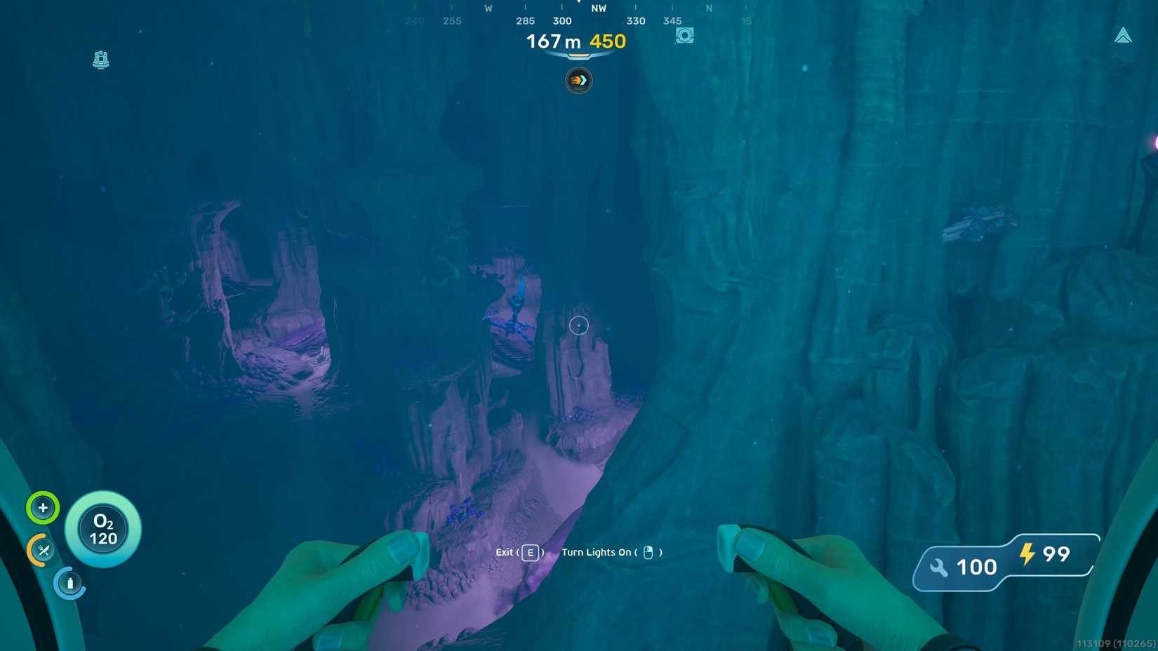 A juvenile Angel Comb near the Alien Ruins in Subnautica 2