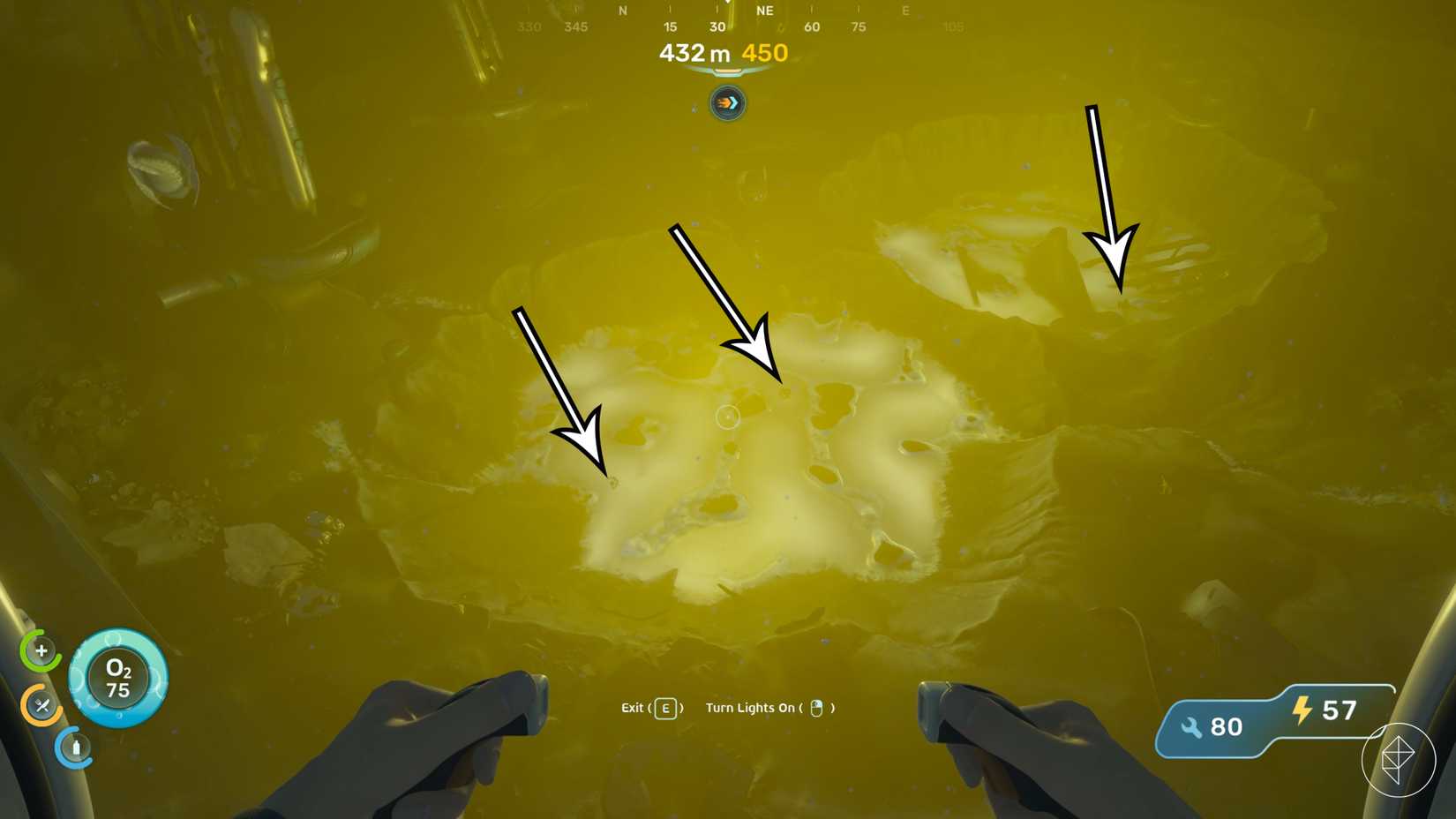 Tres piezas de cultivo bacteriano axum en Subnautica 2.