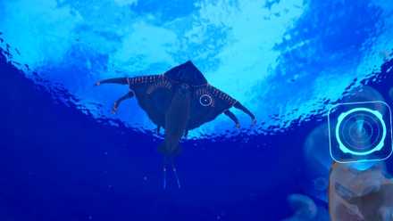 The underside of a Shiver Leviathan in Subnautica 2