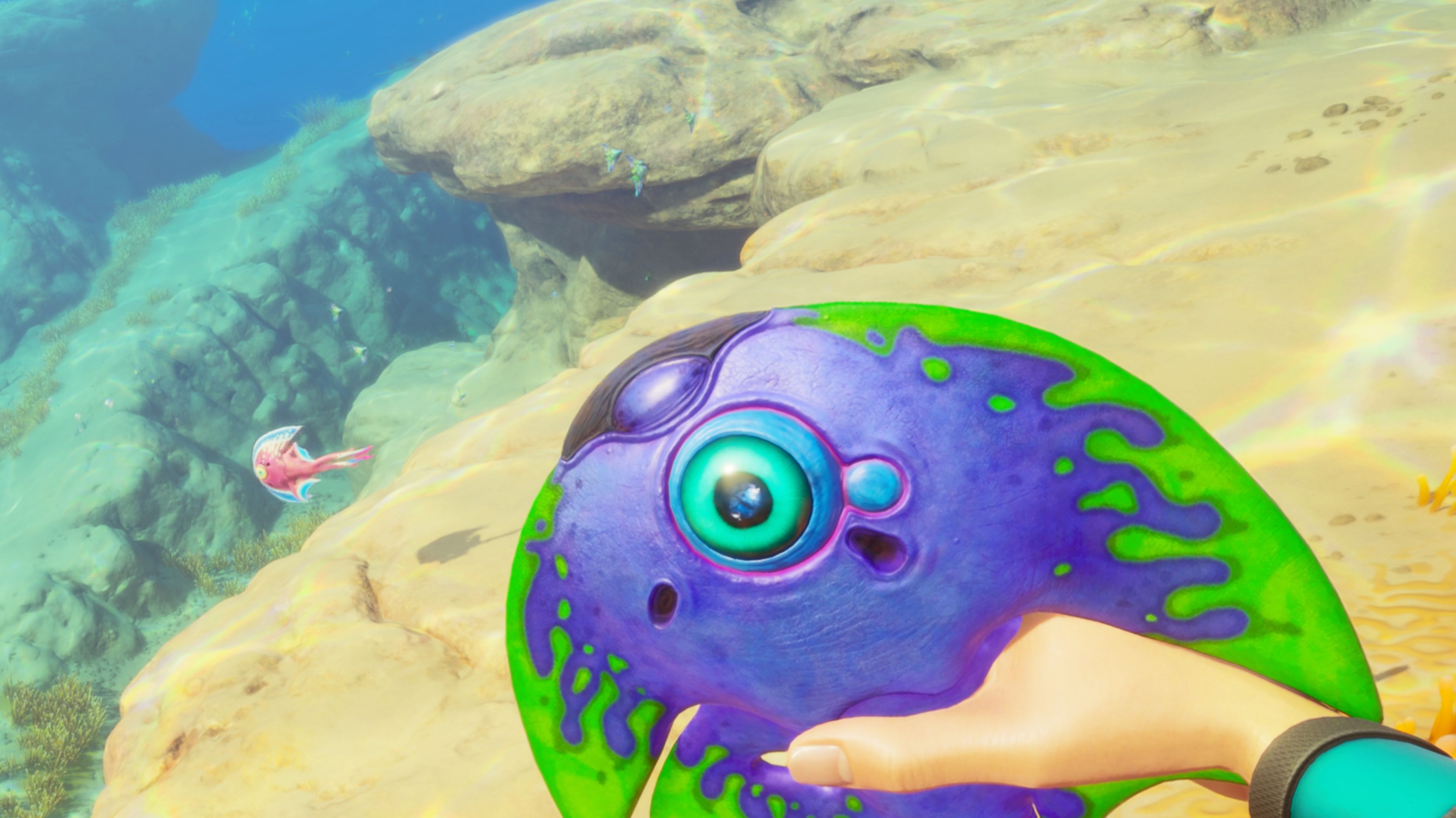 A player holds a fish in Subnautica 2.