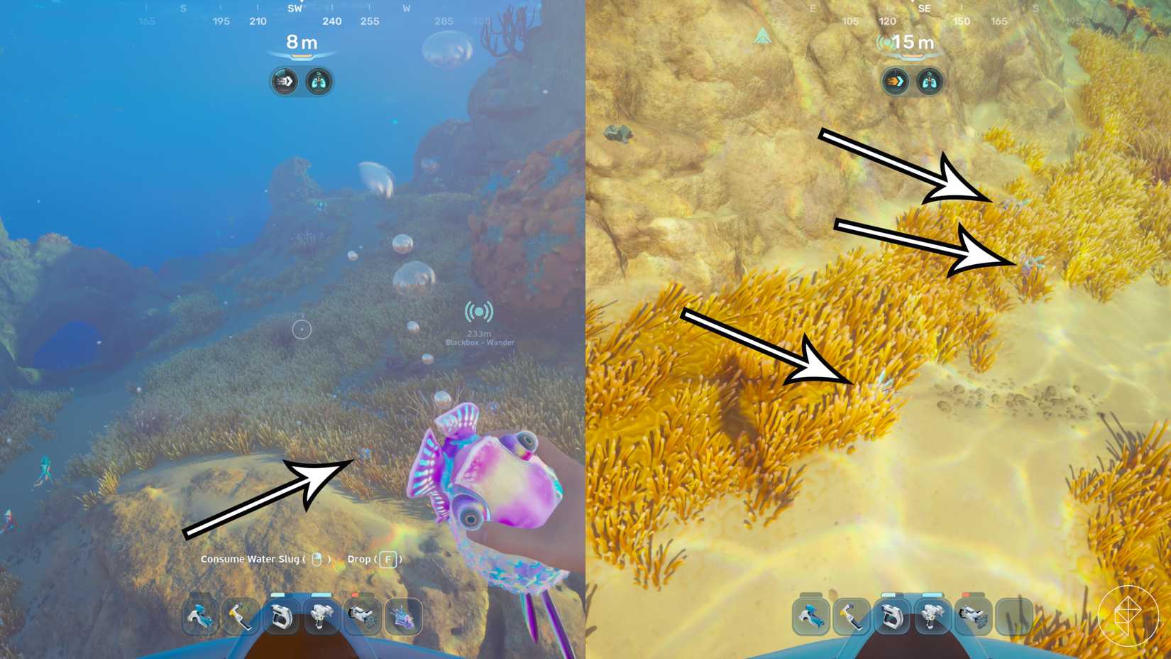 Arrows point to water slugs in Subnautica 2.