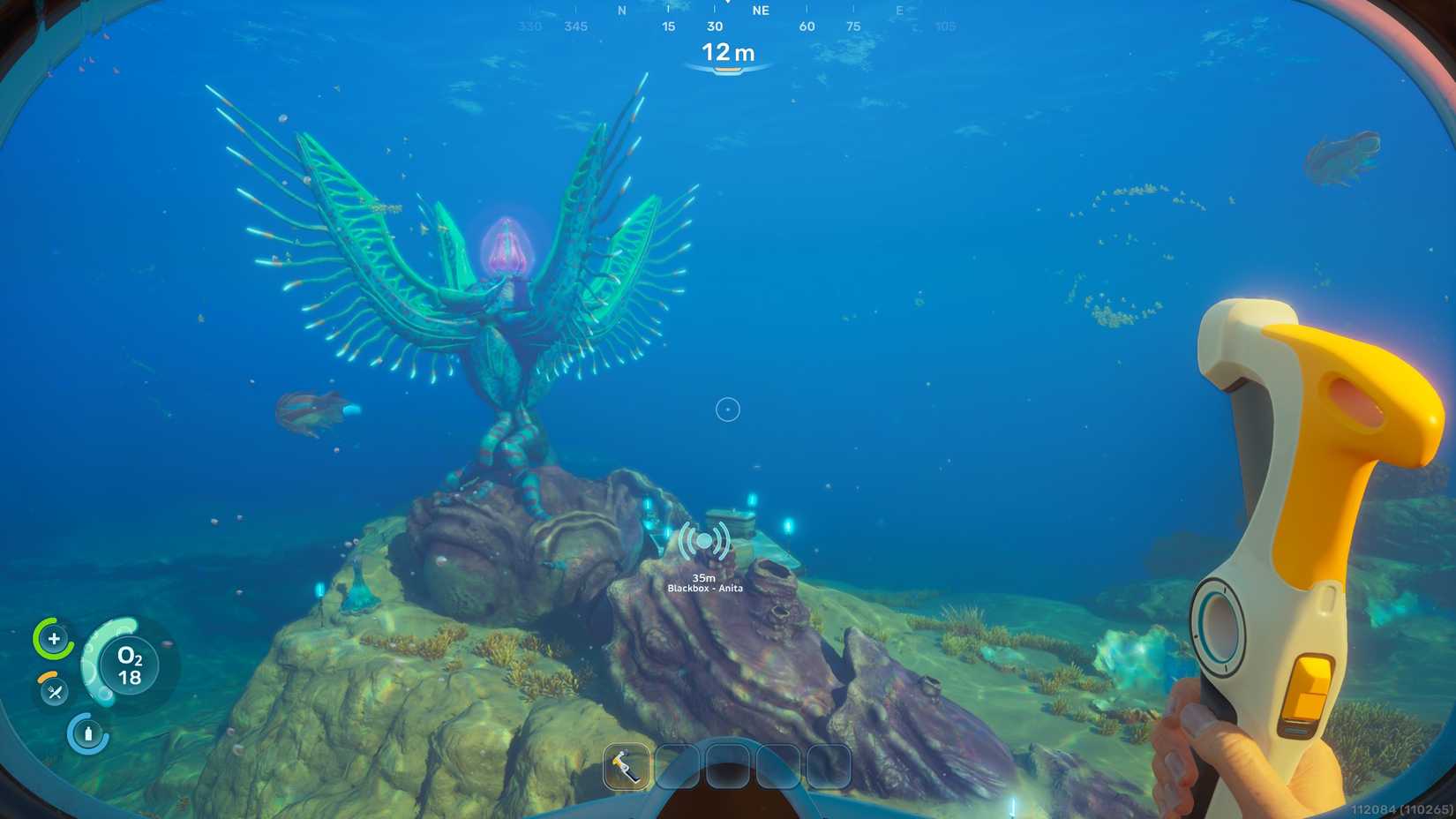 An Angel Comb in Subnautica 2