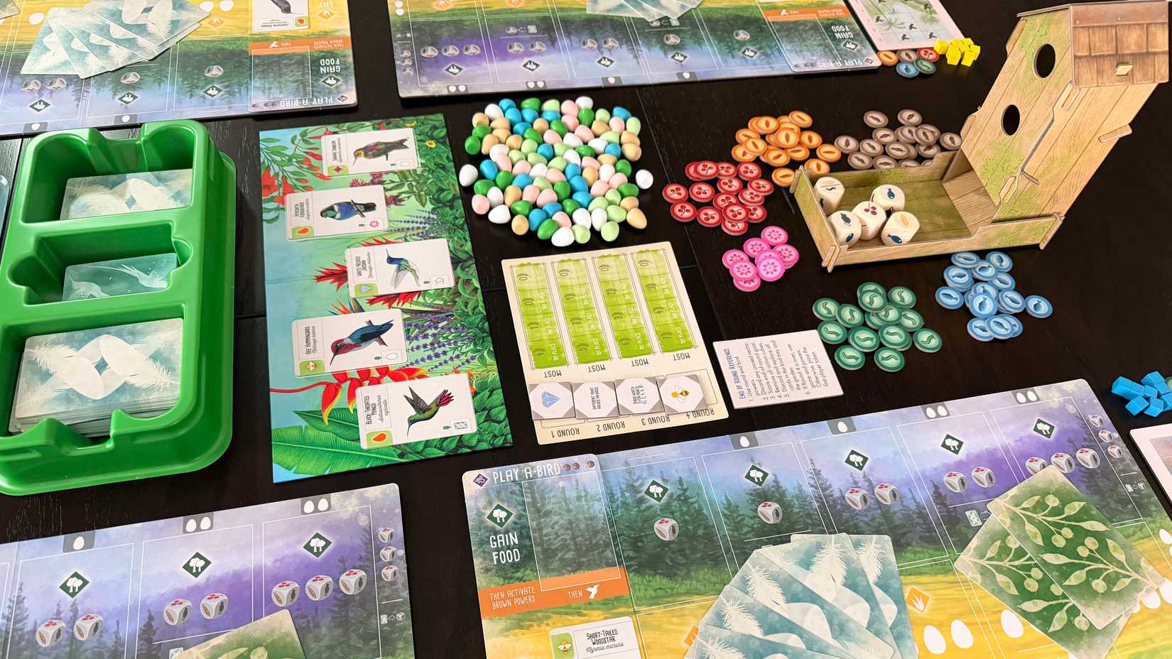 Wingspan Americas gameplay setup