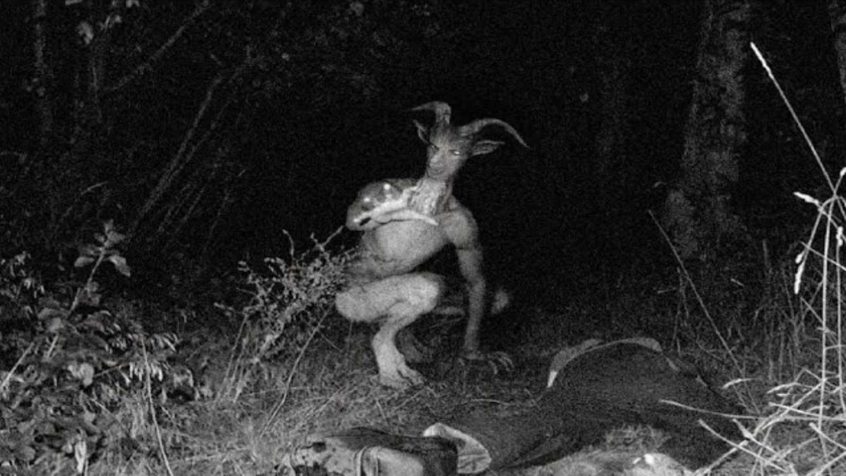 Anansi Goatman Story