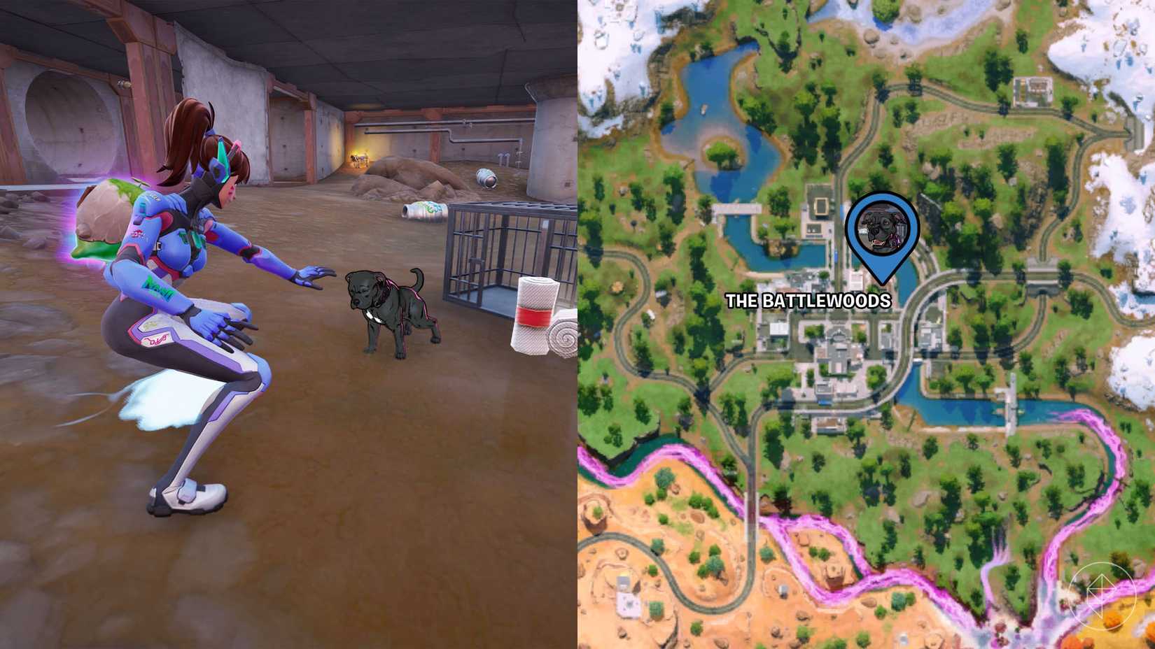 D.va, a playable character from Overwatch, leaning in to pet John Wick's Dog, a black pitbull, in Fortnite.