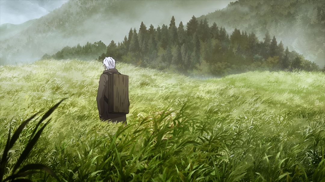 Ginko from Mushi-shi