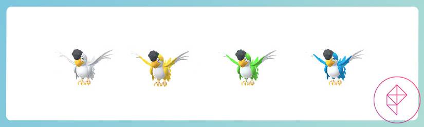 White, yellow, green, and blue Squawkabilly in Pokémon Go