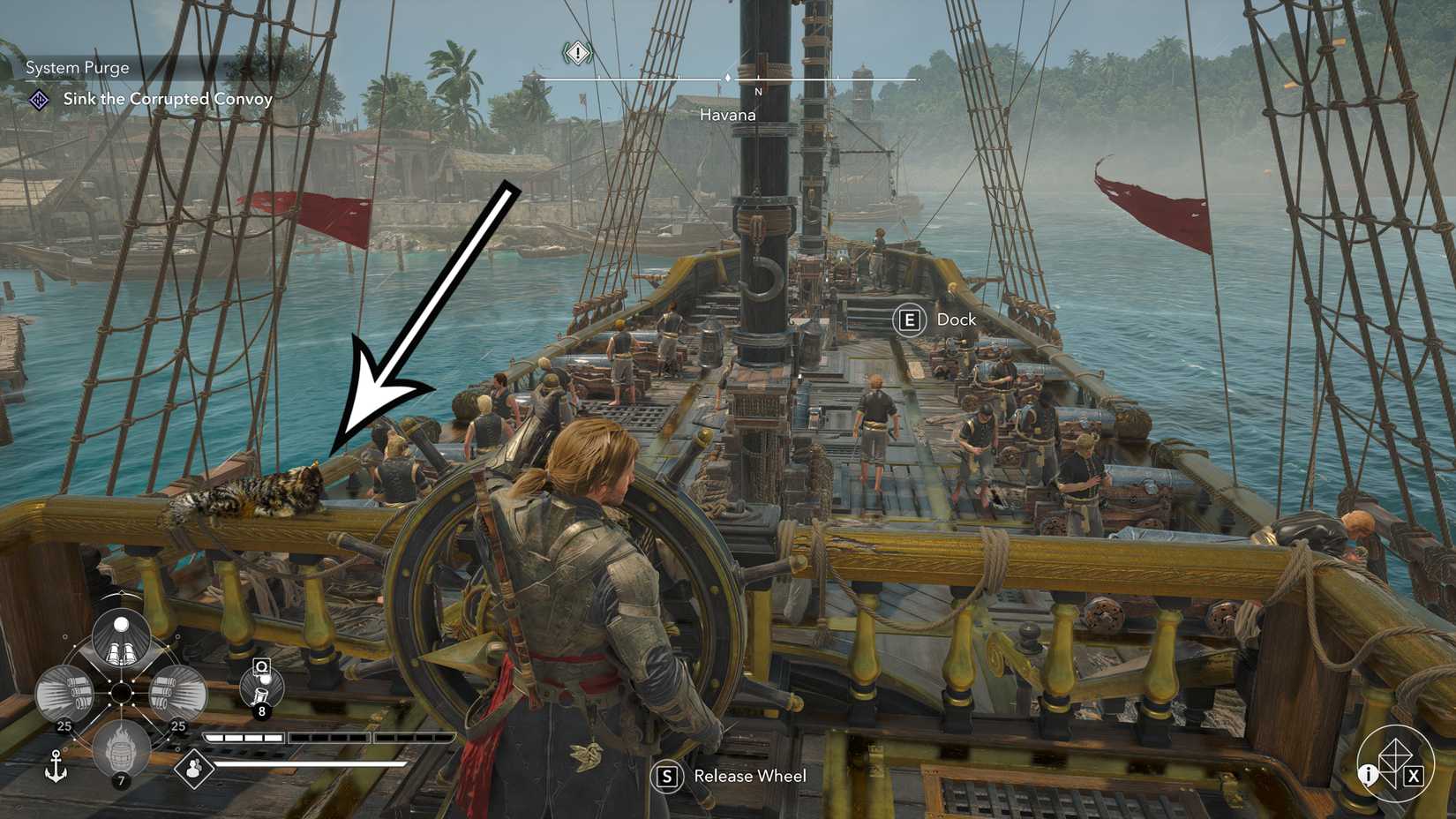 an arrow points to a ship's pet aboard the Jackdaw in Assassin's Creed Black Flag Resynced.