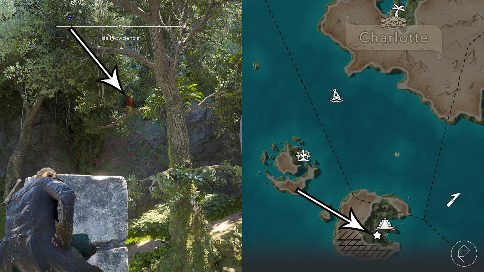 The red howler monkey's location in Assassin's Creed Black Flag Resynced