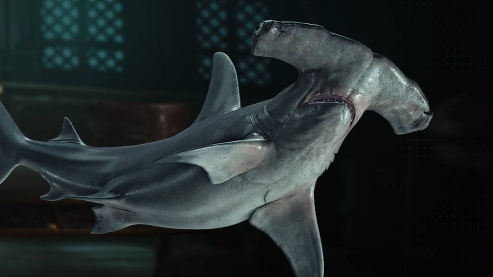 An Assassin's Creed Black Flag Resynced screenshot showing a hammerhead shark