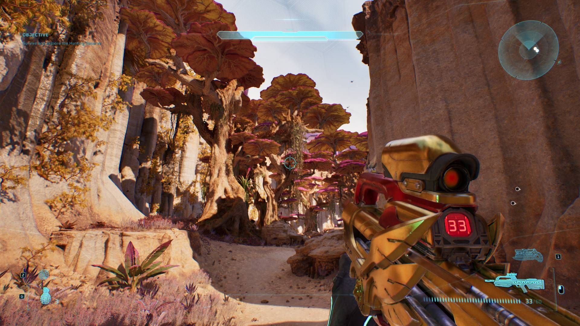 The player in Halo: Campaign Evolved looking at some tall trees.