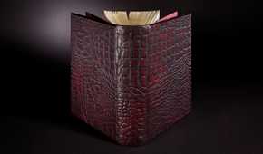 Illustrated-Game-of-Thrones-Book