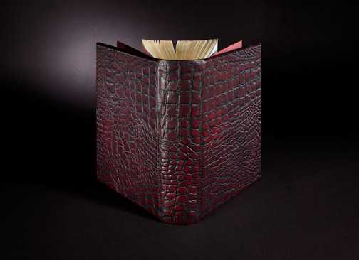 Illustrated-Game-of-Thrones-Book
