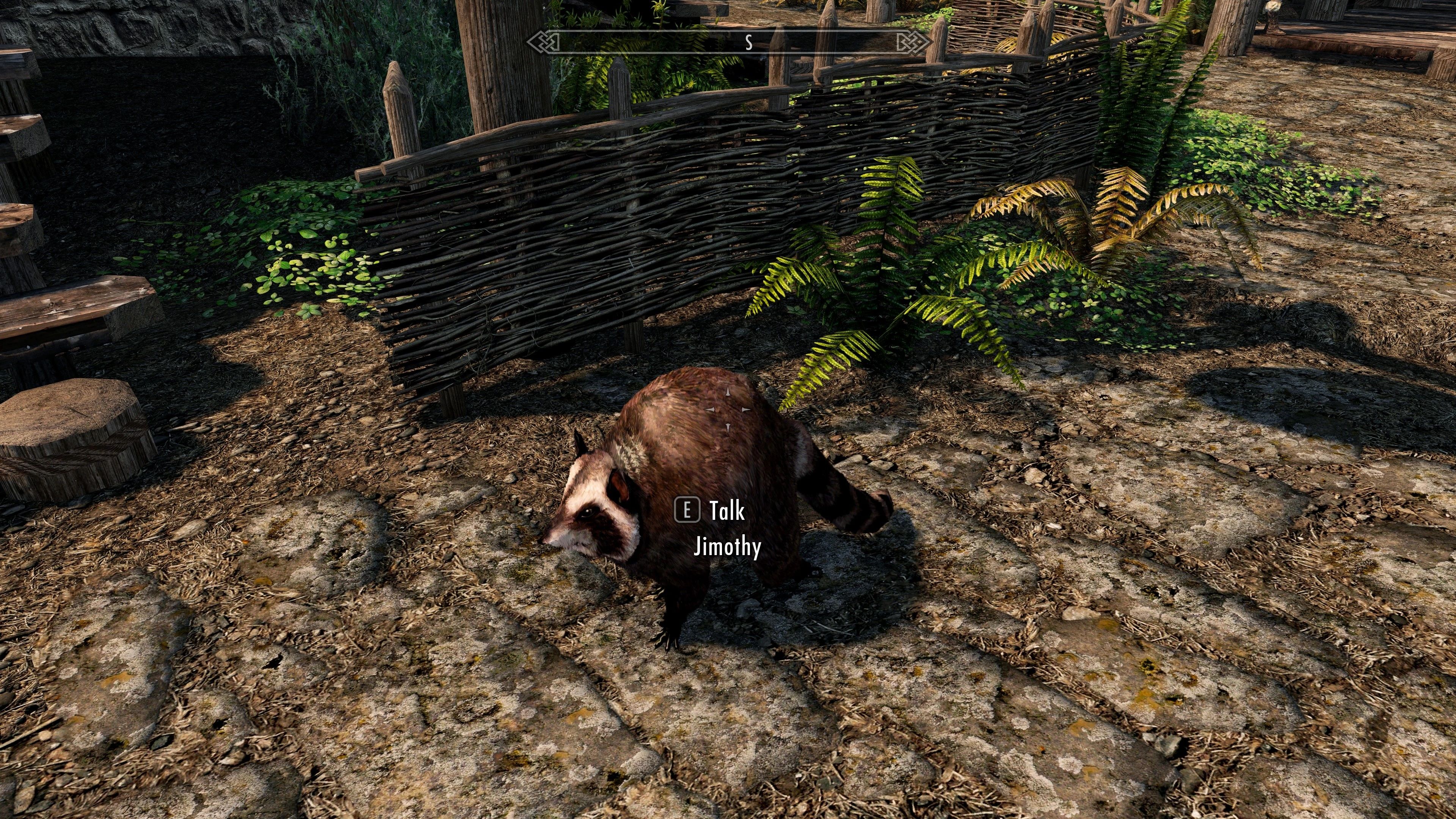 Jimothy the viral Seattle raccoon gets mods in Skyrim and Stardew Valley