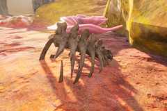 Time system in The Blood of Dawnwalker, explained