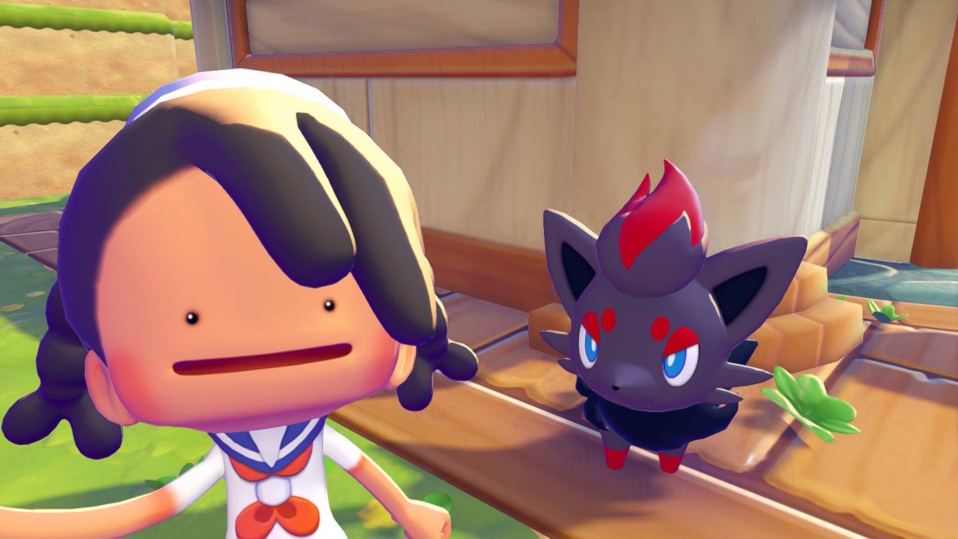 Pokémon Pokopia Zorua's Hide