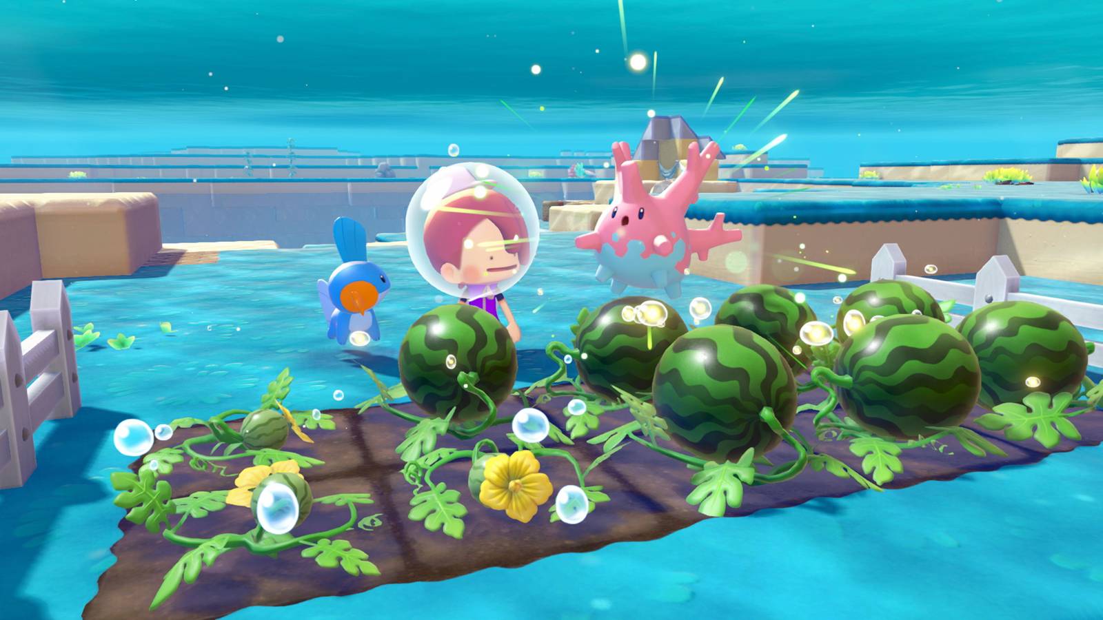 Ditto planting watermelons with corsola
