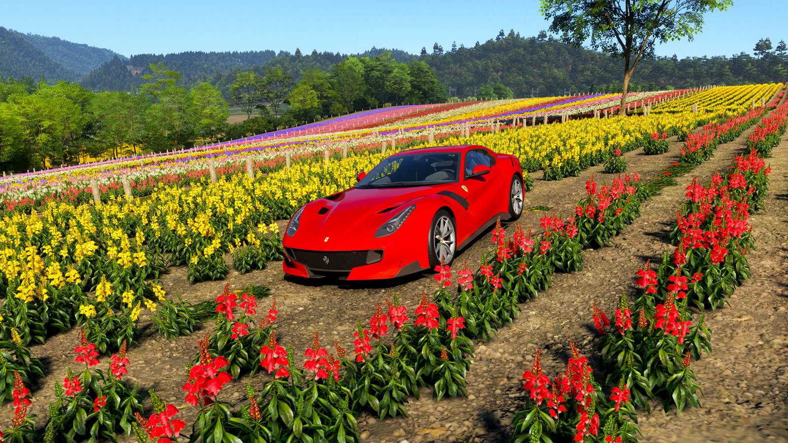 Một chiếc xe Ferrari màu đỏ đỗ giữa cánh đồng hoa trong Forza Horizon 6