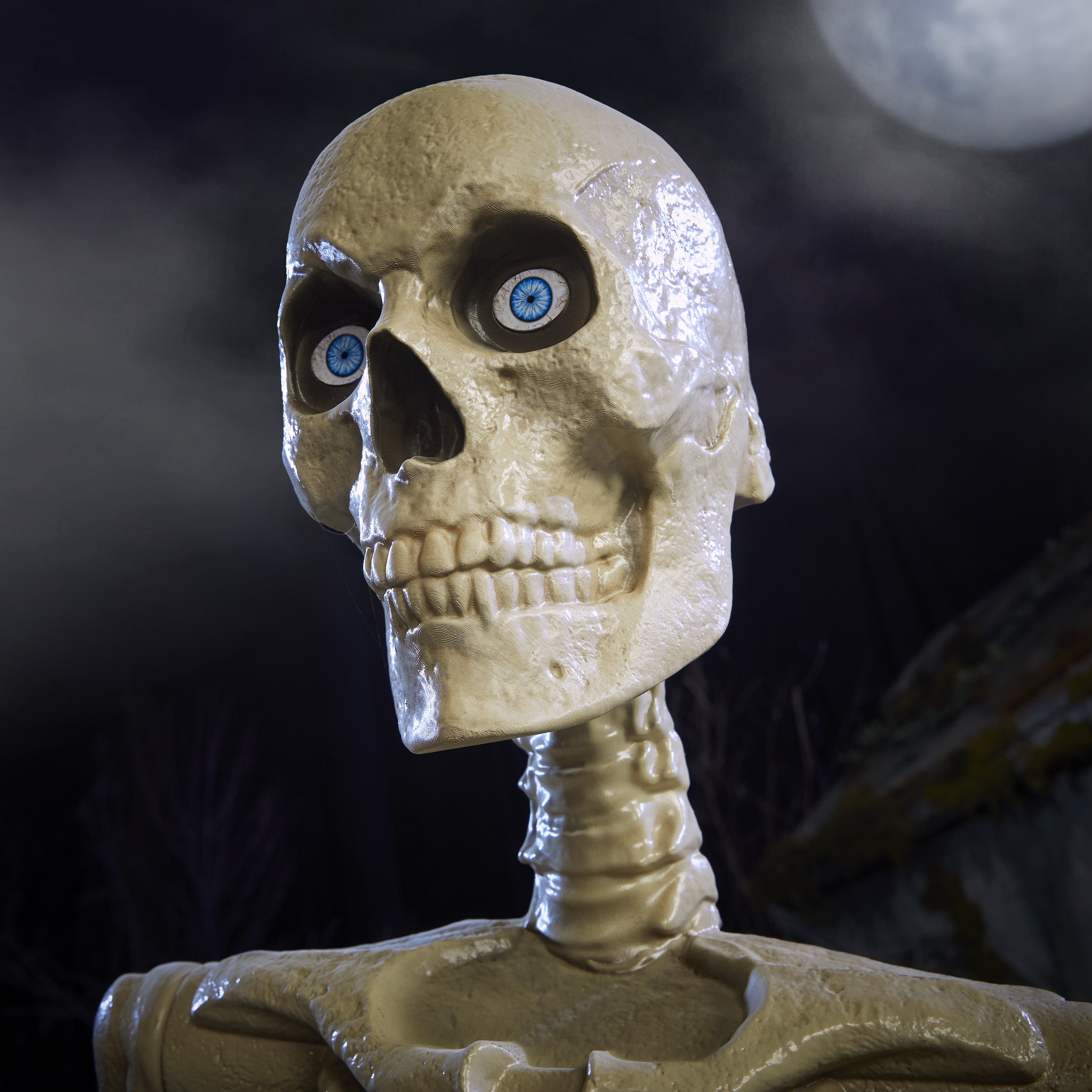 SkellyCloseUp1