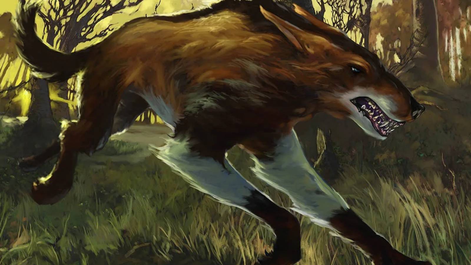 Magic designers want to support Pauper and Premodern — but there’s a catch Magic designers want to support Pauper and Premodern — but there’s a catch