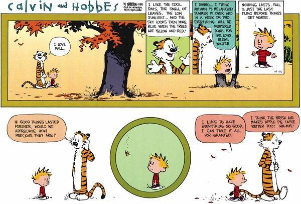 Calvin Hobbes fall autumn