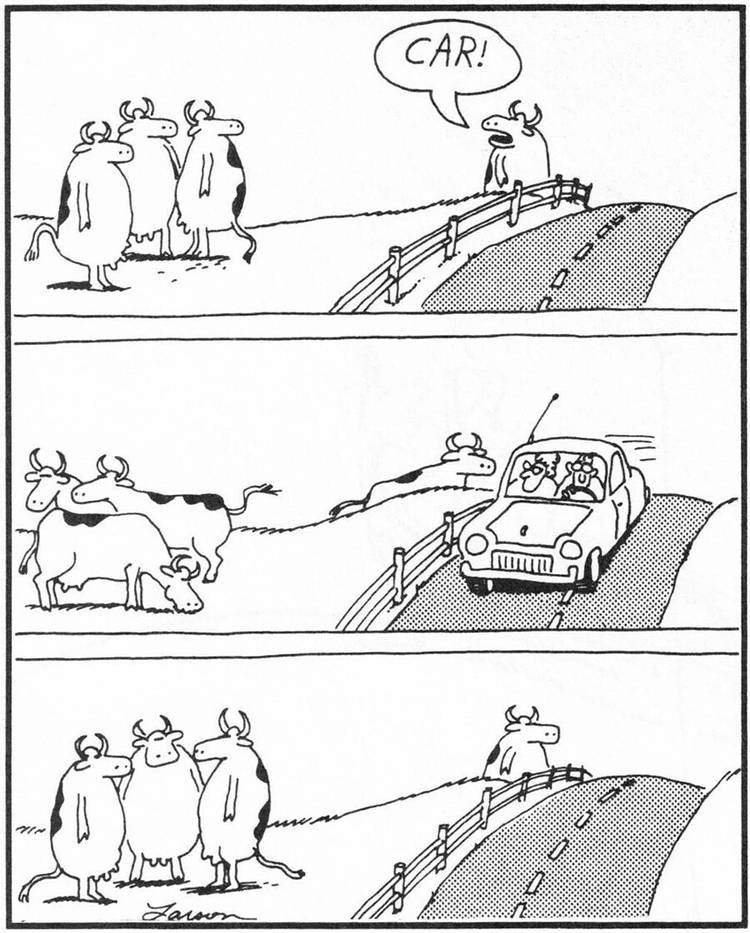 The Far Side Cow cars