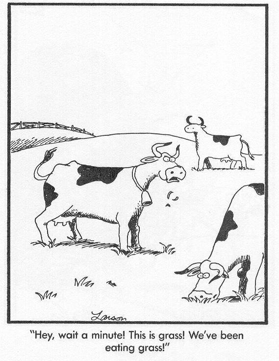 The Far Side Cow grass