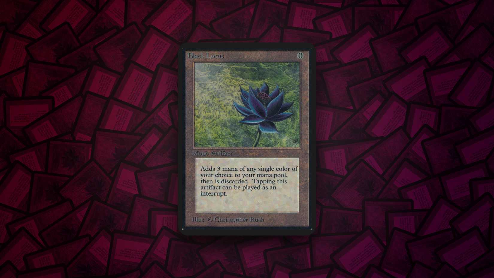 black lotus