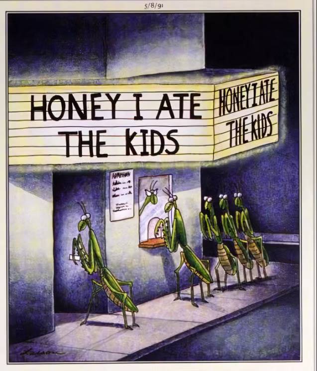Praying mantises buy tickets at a movie theater in a Far Side comic