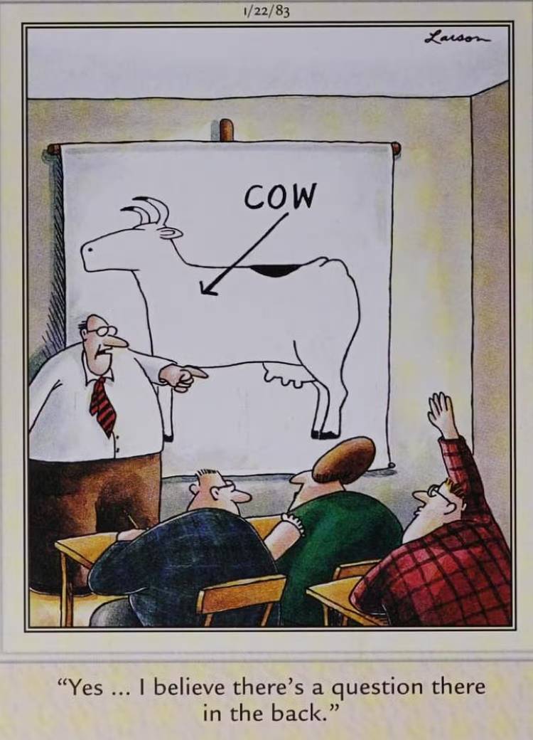 The far side cow 