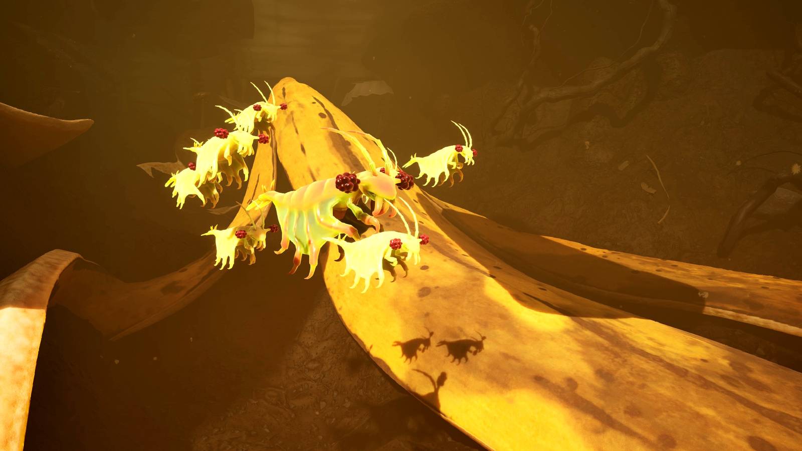 Where to find the pond jockey location in Grounded 2 Where to find the pond jockey location in Grounded 2