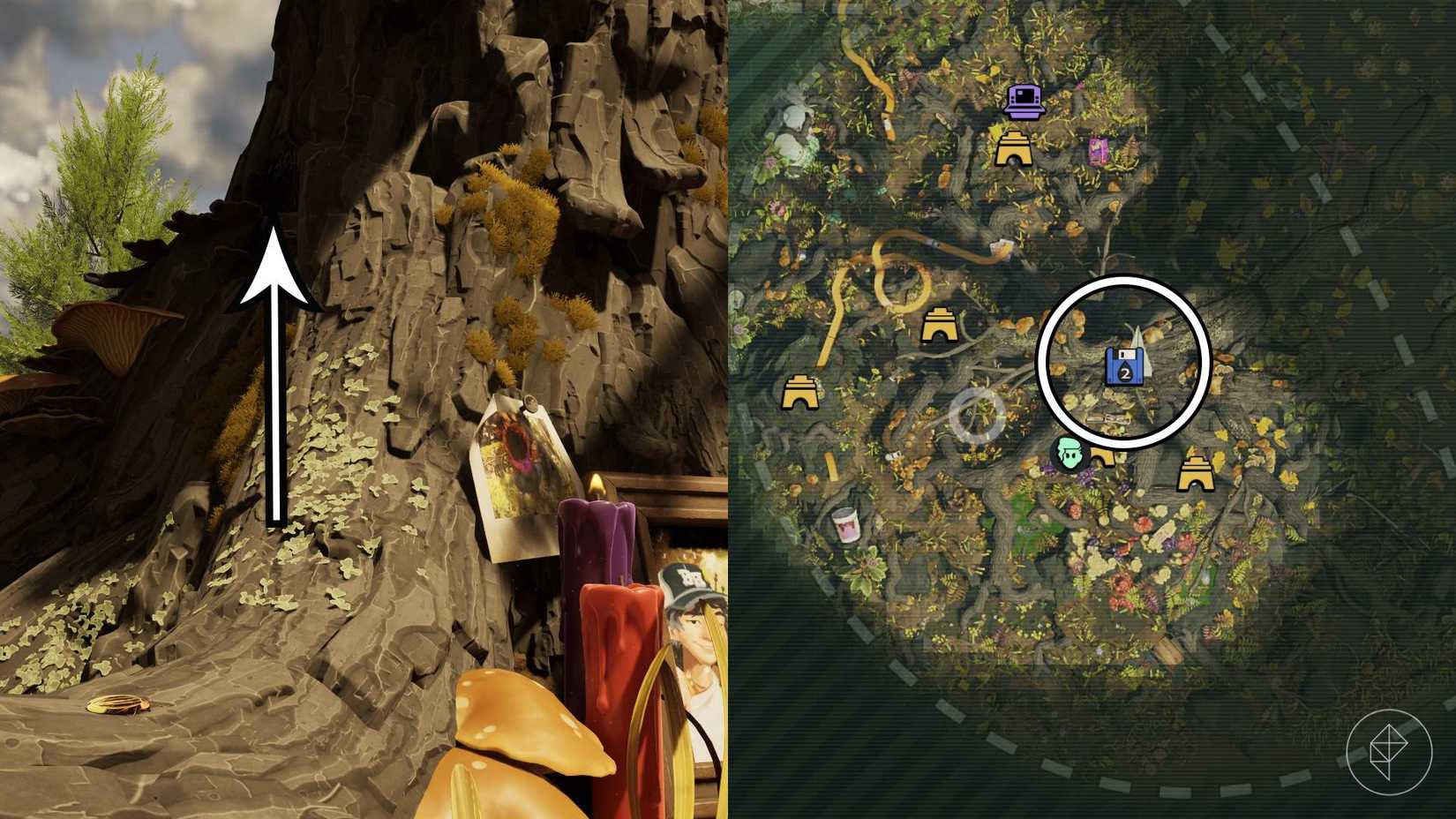 The entrance to the tree where the disk that grants the toe biter nest recipe is in Grounded 2