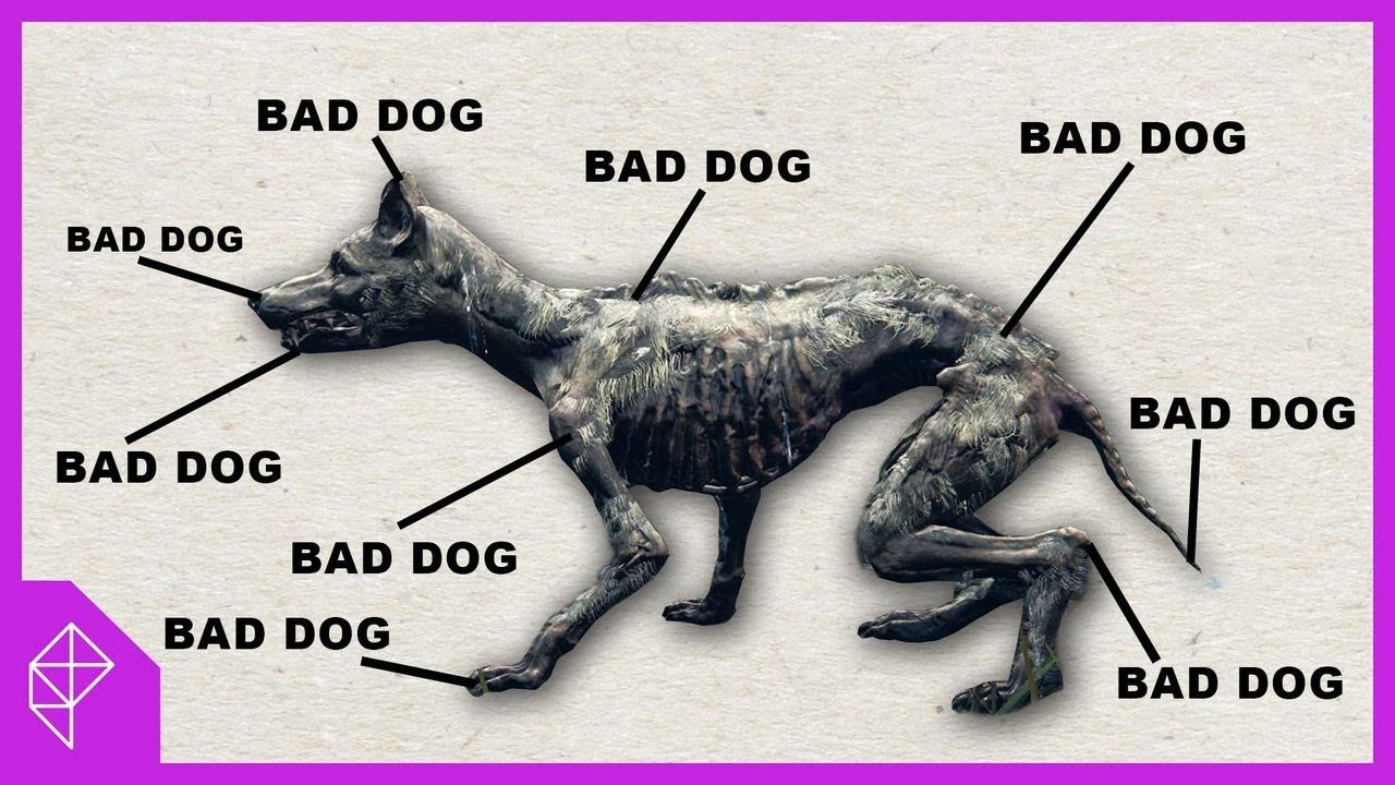 I hate dogs (in Elden Ring)