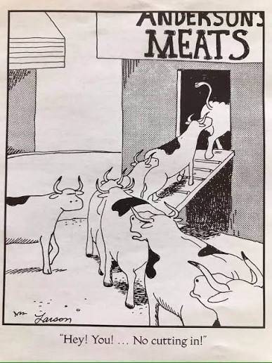 The Far Side Cows Slaughterhouse