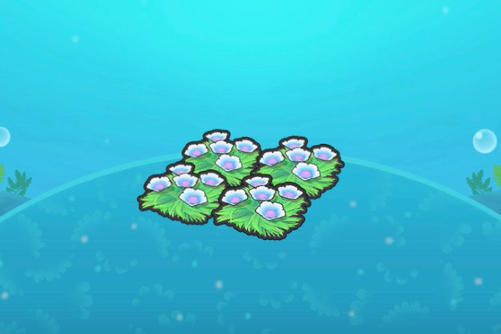 A habitat of four underwater blue flower patches in Pokopia