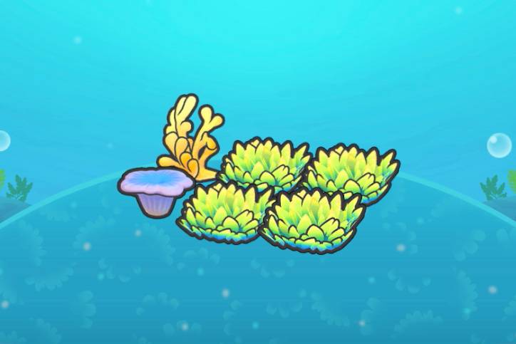 A habitat of four grass patches with some coral in Pokopia