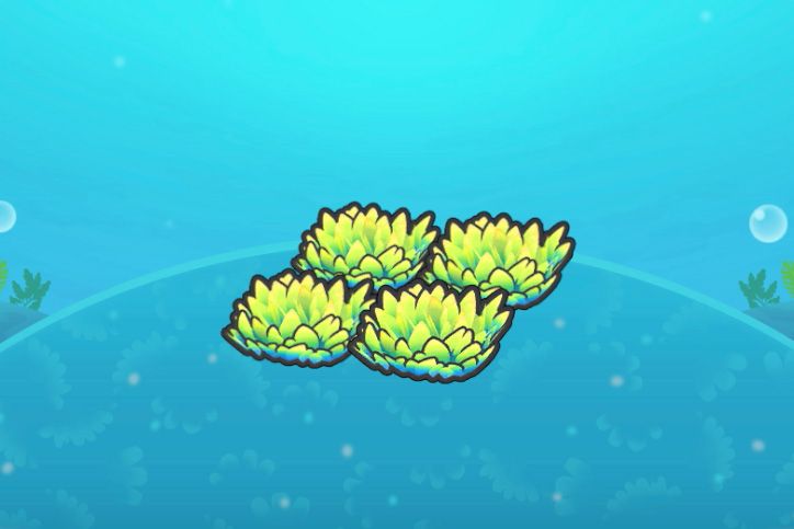 A habitat of four underwater grass patches in Pokopia
