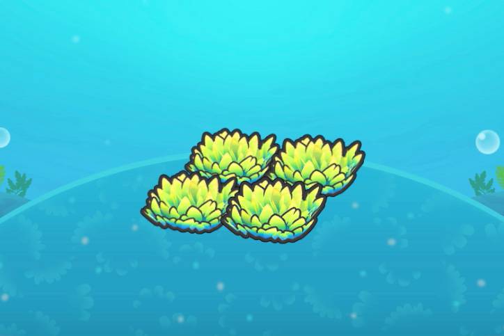 A habitat of four underwater grass patches in Pokopia