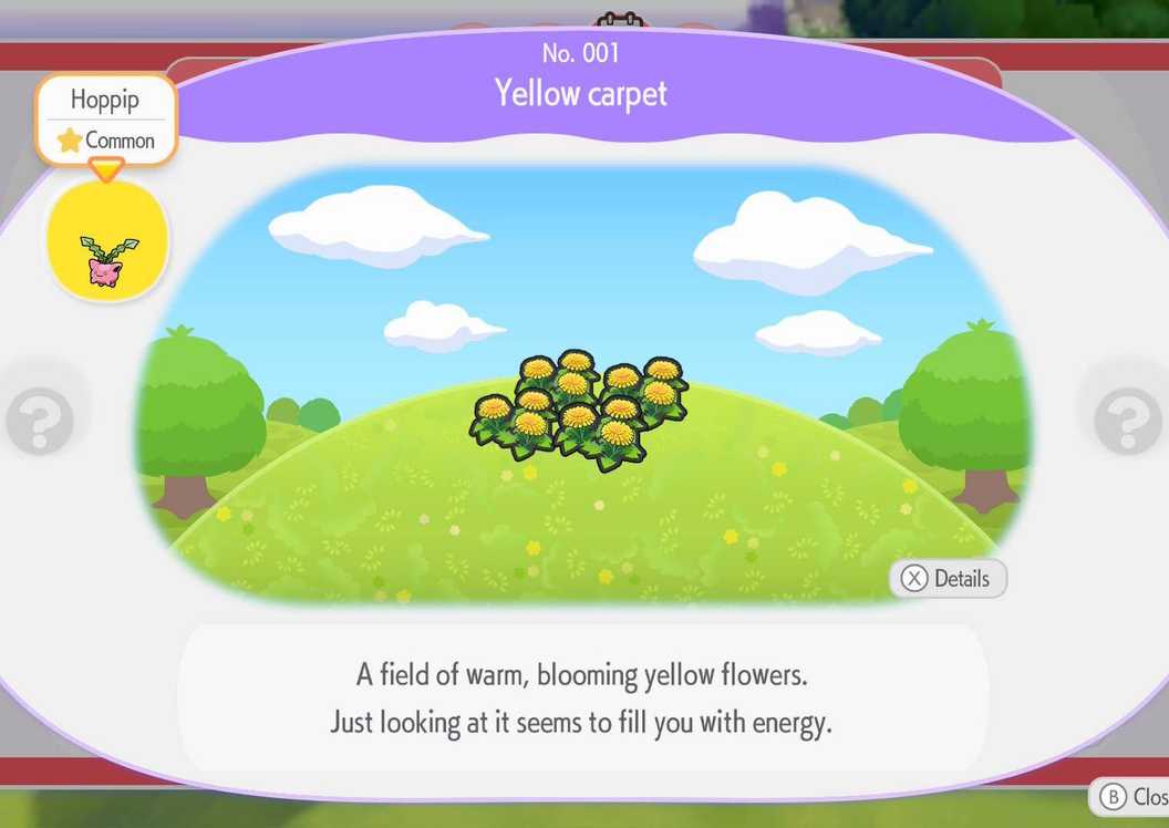 The Yellow Carpet habitat in Pokémon Pokopia.