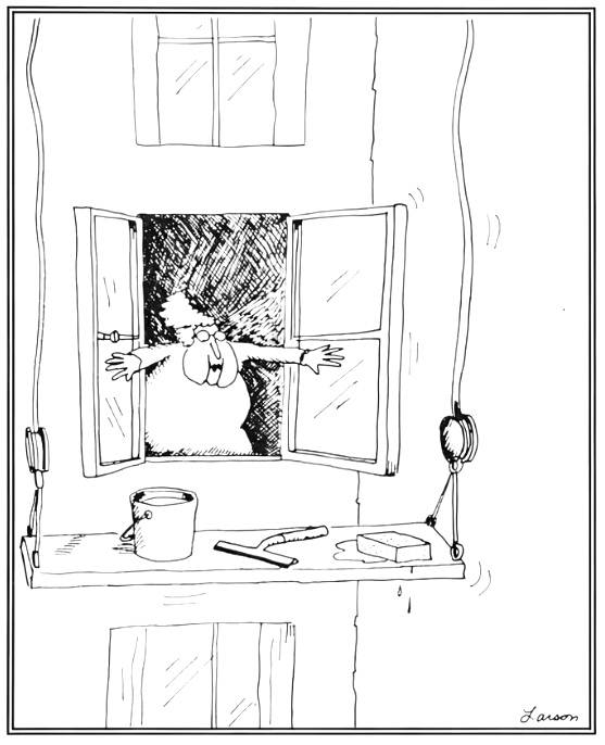 The Far Side Window Washer